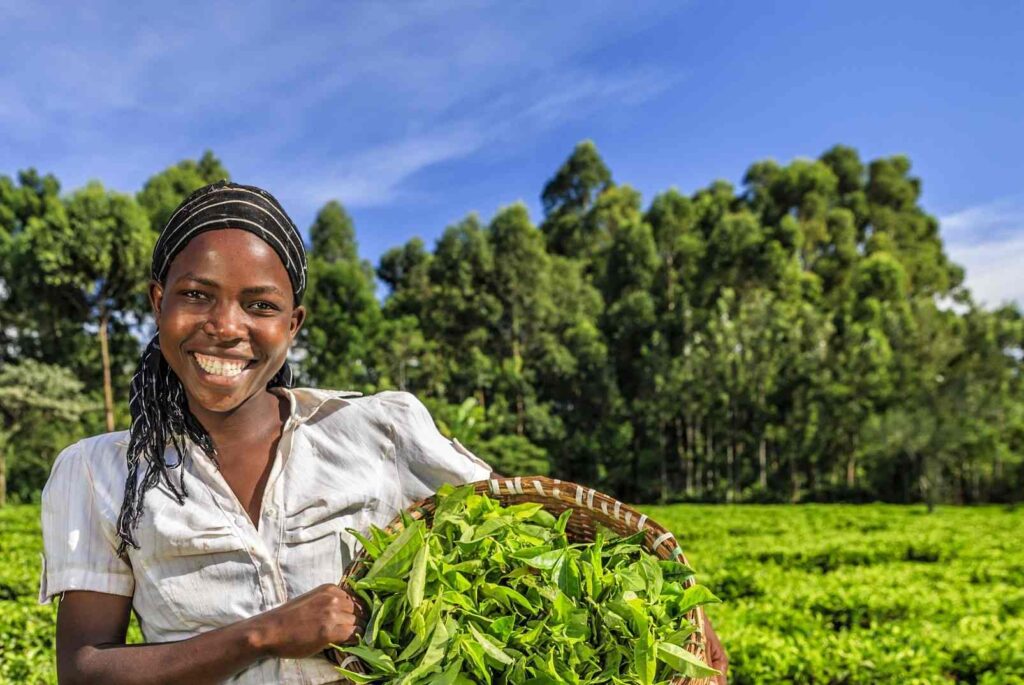 happy farmer